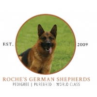 Roche's German Shepherds For Sale in Wisconsin, Illinois & Iowa