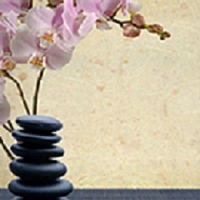 Brands,  Businesses, Places & Professionals Royal Massage Spa Flagstaff in Flagstaff AZ