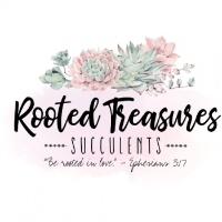 Rooted Treasures Succulents