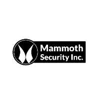 Mammoth Security Inc. West Hartford