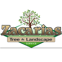 Brands,  Businesses, Places & Professionals Zacarias Tree & Landscaping in Lynn MA