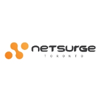 Brands,  Businesses, Places & Professionals Netsurge Toronto in Toronto ON