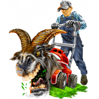 Brands,  Businesses, Places & Professionals Turf Enough Lawn Care Inc. in Port Charlotte FL