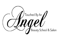 Touched by an Angel Beauty School, Hybrid Programs