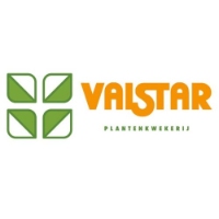 Brands,  Businesses, Places & Professionals Plantenkwekerij Valstar B.V. in 's-Gravenzande ZH