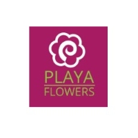 Brands,  Businesses, Places & Professionals Playa Del Rey Florist in Playa Del Rey CA