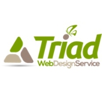 Brands,  Businesses, Places & Professionals Triad Web Design Service in Greensboro NC