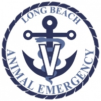 Long Beach Animal Emergency