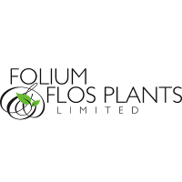 Folium and Flos Plants Limited