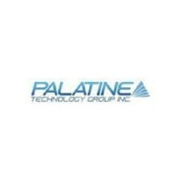 Palatine Technology Group