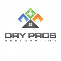 Brands,  Businesses, Places & Professionals Disaster Cleanup a Dry Pros Company in Garden City ID