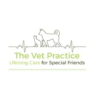 The Vet Practice