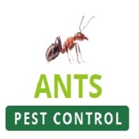 Ants Pest Control Perth