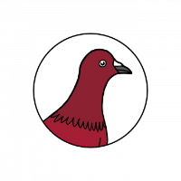 Brands,  Businesses, Places & Professionals Red Pigeon Media in Haywards Heath England