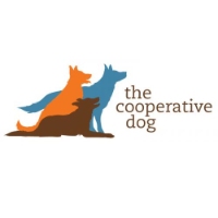 Brands,  Businesses, Places & Professionals The Cooperative Dog in Brookline MA