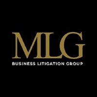 MLG Business Litigation Group