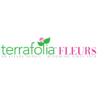 Fleuriste Terrafolia Flowers