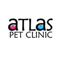 Brands,  Businesses, Places & Professionals Atlas Pet Clinic in Clermont FL