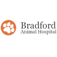 Brands,  Businesses, Places & Professionals Bradford Animal Hospital in Brentwood TN