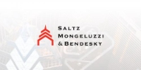 Brands,  Businesses, Places & Professionals Saltz Mongeluzzi & Bendesky P.C. in Media PA