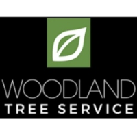 Brands,  Businesses, Places & Professionals Woodland Tree Service in Pierz MN