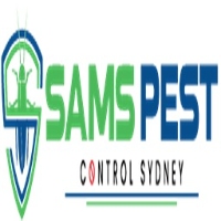 Bee Removal Sydney