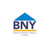 Brands,  Businesses, Places & Professionals BNY Mold and Water Cleanup Of NYC in Brooklyn NY