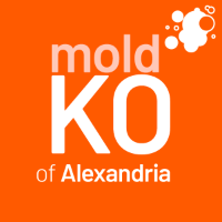 Brands,  Businesses, Places & Professionals Mold KO of Alexandria in Alexandria VA