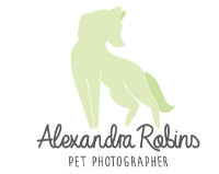 Brands,  Businesses, Places & Professionals Alexandra Robins Pet Photographer in Melksham England