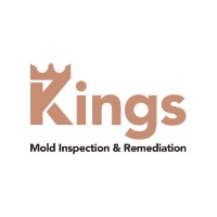 Kings Mold Inspection & Remediation