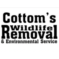 Brands,  Businesses, Places & Professionals Cottom's Wildlife Removal - Bat, Raccoon, & Rodent Specialists in Columbia Station OH