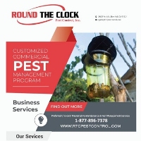 Brands,  Businesses, Places & Professionals Round The Clock Pest Control Inc. in Walnut Creek CA