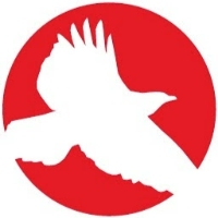 Red Hawk Technologies