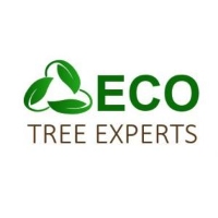 Brands,  Businesses, Places & Professionals ECO Tree Experts in West Palm Beach FL