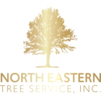 Brands,  Businesses, Places & Professionals North Eastern Tree Service in Cranston RI