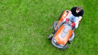 Brands,  Businesses, Places & Professionals Naples Lawn Care Co in Naples FL