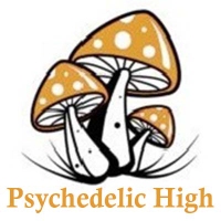 Psychedelic High