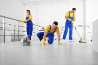 Brands,  Businesses, Places & Professionals Mississauga Cleaning Services in Brampton ON