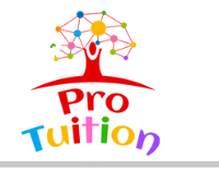 Pro-Tuition Essex Ltd