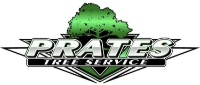 Brands,  Businesses, Places & Professionals Prate's Tree Service, LLC in Maple Shade NJ