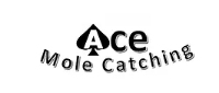 Brands,  Businesses, Places & Professionals Ace Mole Catching in Great Yarmouth England