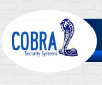 Cobra Security Systems Ltd