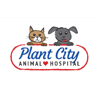 Plant City Animal Hospital