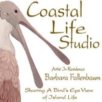 Coastal Life Studio - Barbara Fallenbaum Artist