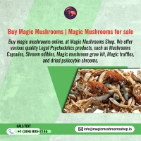 Brands,  Businesses, Places & Professionals Magic Mushrooms Shop in Colorado Springs CO