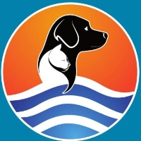 Brands,  Businesses, Places & Professionals Navarre Animal Hospital in Navarre FL