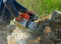 Capital City Tree Removal Co