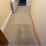 Brands,  Businesses, Places & Professionals Carpet Cleaning Pros in Weybridge England