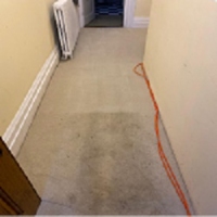 Brands,  Businesses, Places & Professionals Carpet Cleaning Pros in Camberley England