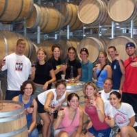 Brands,  Businesses, Places & Professionals Out & About Swan Valley Wine Tours in Bassendean WA